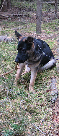 Gnag 2009-10-01