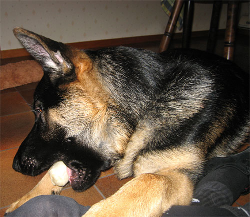 Bengnag