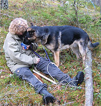 Spårskogen